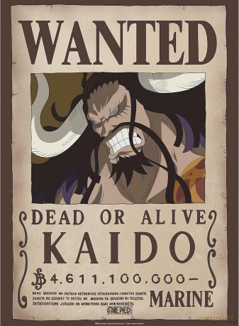 ONE PIECE - plakat Wanted Kaido (52x38)