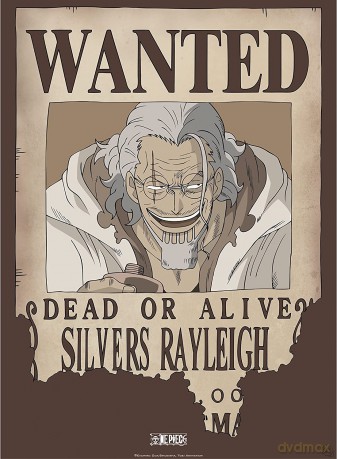 ONE PIECE - plakat Wanted Rayleigh (52x38)