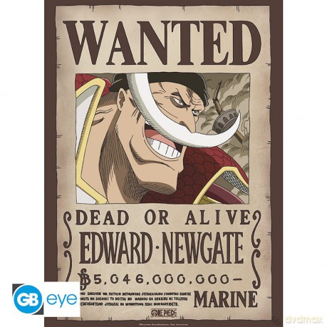 ONE PIECE - plakat Wanted Whitebeard (52x38)