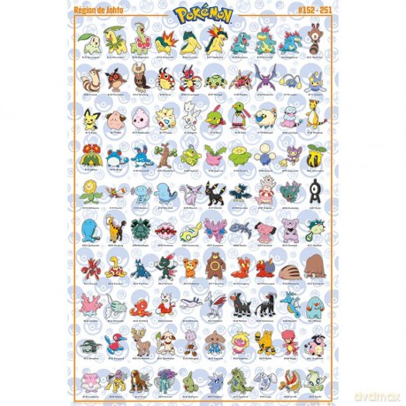 POKEMON - plakat Johto French (91.5x61)