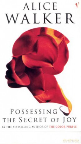 Possessing The Secret Of Joy - Alice Walker [KSIĄŻKA]