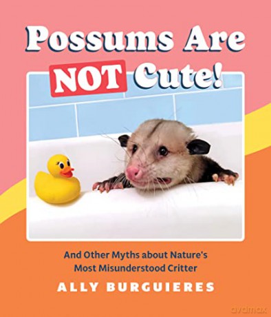 Possums Are Not Cute: And Other Myths about Nature's Most Misunderstood Critter - Ally Burguieres [KOMIKS]