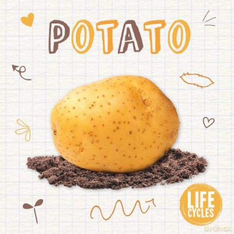 Potato (Life Cycles) - Kirsty Holmes [KSIĄŻKA]