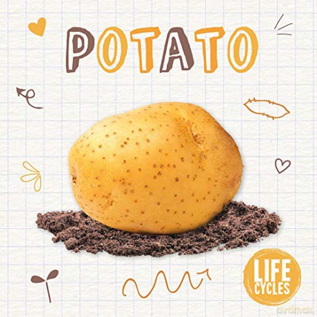 Potato (Life Cycles) - Kirsty Holmes [KSIĄŻKA]