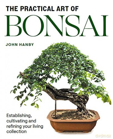 Practical Art of Bonsai: Establishing, cultivating and refining your living collection - John Hanby [KSIĄŻKA]