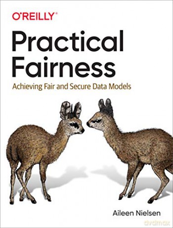 Practical Fairness: Achieving Fair and Secure Data Models - Aileen Nielsen [KSIĄŻKA]