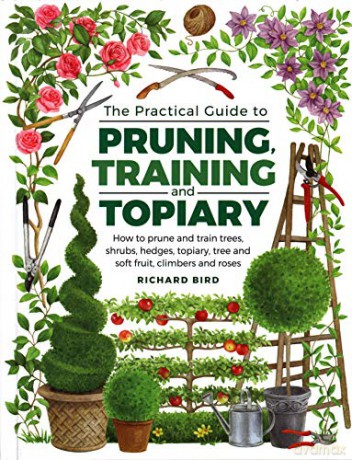 Practical Guide to Pruning, Training and Topiary: How to Prune and Train Trees, Shrubs, Hedges, Topiary, Tree and Soft Fruit, Climbers and Roses - Richard Bird [KSIĄŻKA]