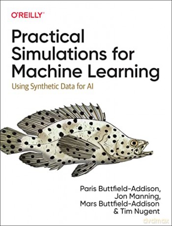 Practical Simulations for Machine Learning: Using Synthetic Data for AI - Paris Buttfield-Addison [KSIĄŻKA]