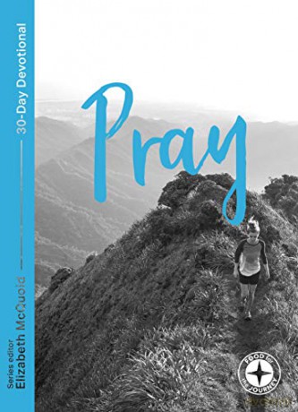 Pray: Food for the Journey - Themes (Food for the Journey - Themes, 3) - Elizabeth McQuoid [KSIĄŻKA]