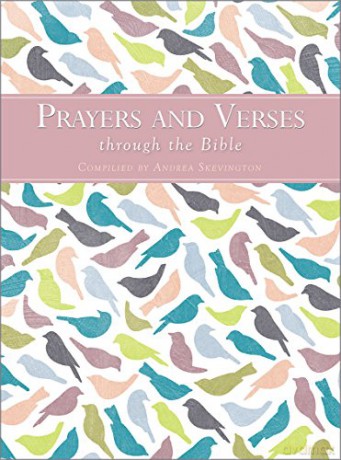 Prayers and Verses through the Bible - Andrea Skevington [KSIĄŻKA]