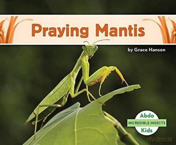 Praying Mantis (Incredible Insects) - Grace Hansen [KSIĄŻKA]
