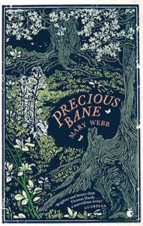 Precious Bane (Virago Modern Classics) - Mary Webb [KSIĄŻKA]