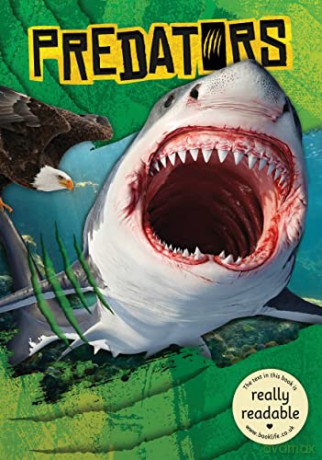Predators (BookLife Accessible Readers) - Mignonne Gunasekara [KSIĄŻKA]