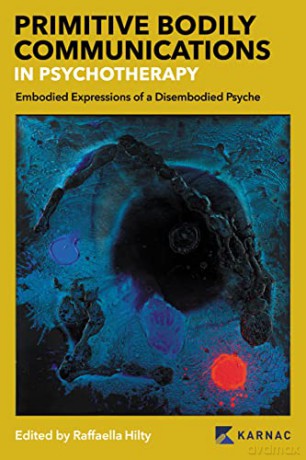 Primitive Bodily Communications in Psychotherapy: Embodied Expressions of a Disembodied Psyche - Raffaella Hilty [KSIĄŻKA]