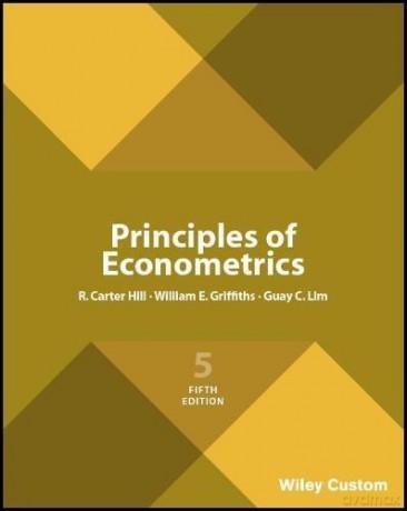 Principles of Econometrics - R. Carter Hill [KSIĄŻKA]