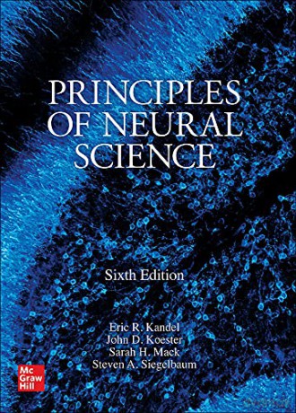 Principles of Neural Science, Sixth Edition (MEDICAL/DENISTRY) - Eric R. Kandel [KSIĄŻKA]