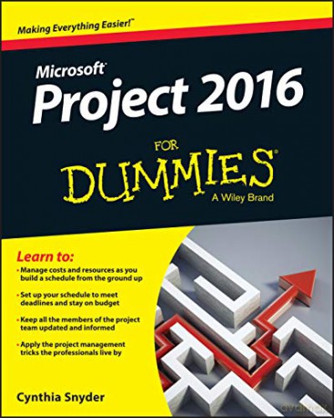 Project 2016 For Dummies - Cynthia Snyder Dionisio [KSIĄŻKA]