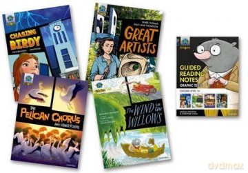 Project X Origins Graphic Texts: Grey Book Band, Oxford Level 14: Mixed Pack of 4 - Christine Chen [KSIĄŻKA]