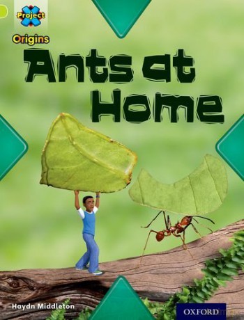 Project X Origins: Lime Book Band, Oxford Level 11: Underground: Ants at Home - Haydn Middleton [KSIĄŻKA]