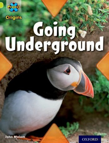 Project X Origins: Lime Book Band, Oxford Level 11: Underground: Going Underground - John Malam [KSIĄŻKA]