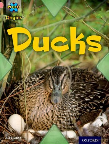Project X Origins: Pink Book Band, Oxford Level 1+: My Family: Ducks - Alex Lane [KSIĄŻKA]