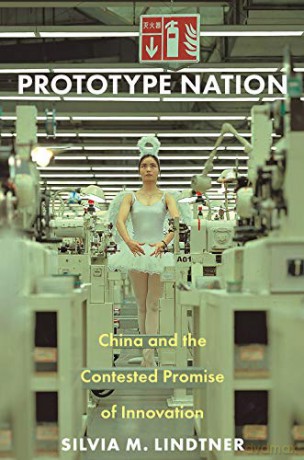 Prototype Nation: China and the Contested Promise of Innovation: 30 (Princeton Studies in Culture and Technology, 30) - Silvia M. Lindtner [KSIĄŻKA]