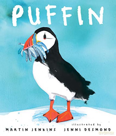 Puffin (Nature Storybooks) - Martin Jenkins [KSIĄŻKA]
