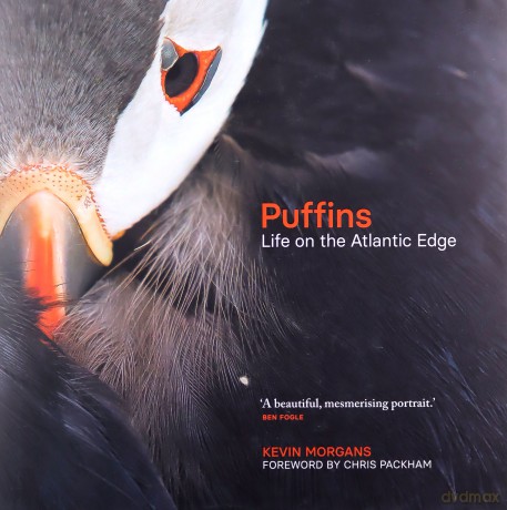 Puffins: Life on the Atlantic Edge - Kevin Morgans [KSIĄŻKA]