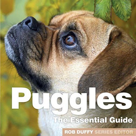 Puggles: The Essential Guide - Robert Duffy [KSIĄŻKA]