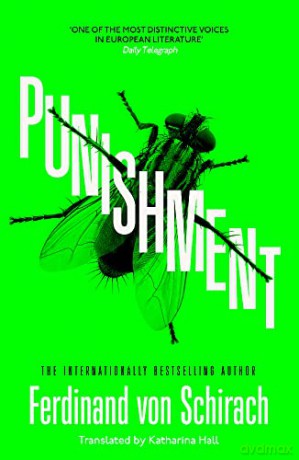 Punishment: The gripping international bestseller - Ferdinand von Schirach [KSIĄŻKA]