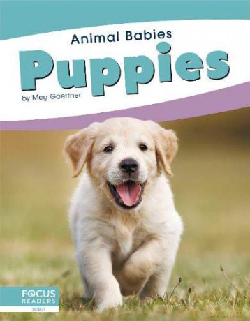 Puppies (Animal Babies) - Meg Gaertner [KSIĄŻKA]
