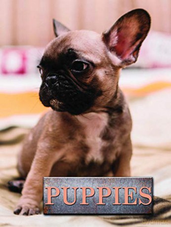 Puppies (Pet Library) - Marcus Schneck [KSIĄŻKA]