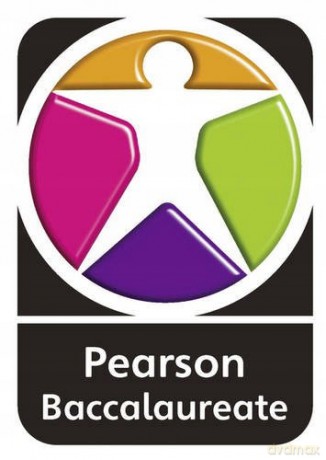 PYP L4-5 Year 2 Pack (Pearson Baccalaureate PrimaryYears Programme) - D. Low [KSIĄŻKA]
