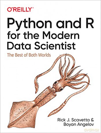 Python and R for the Modern Data Scientist: The Best of Both Worlds - Rick Scavetta [KSIĄŻKA]