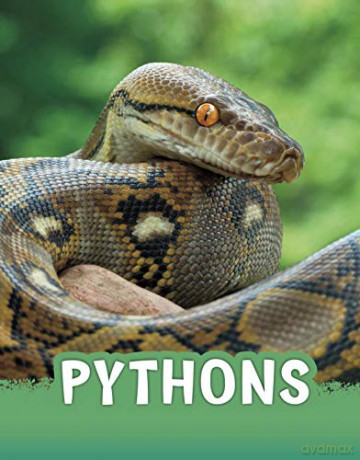 Pythons (Animals) - Martha E. Rustad [KSIĄŻKA]