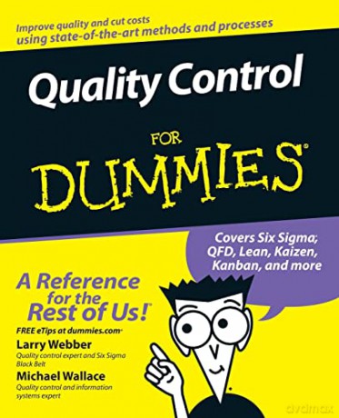 Quality Control for Dummies - Larry Webber [KSIĄŻKA]