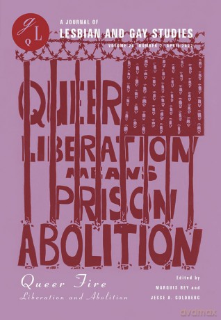 Queer Fire: Liberation and Abolition (Glq: a Journal of Lesbian and Gay Studies, 28-2) - Jesse A. Goldberg [KSIĄŻKA]