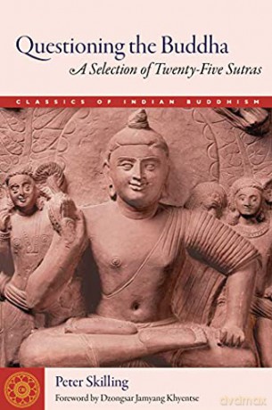 Questioning the Buddha: A Selection of Twenty-Five Sutras (Classics of Indian Buddhism) - Peter Skilling [KSIĄŻKA]