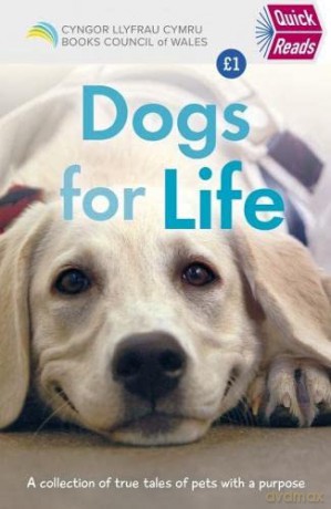 Quick Reads: Dog for Life! - Alison Stokes [KSIĄŻKA]