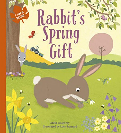 Rabbit's Spring Gift: 1 (A Year In Nature) - Anita Loughrey [KSIĄŻKA]