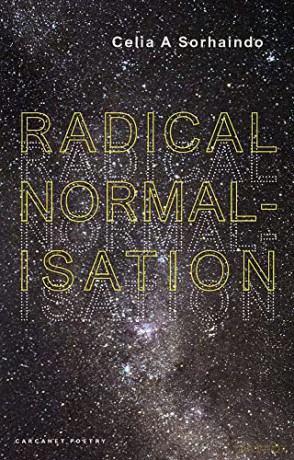 Radical Normalisation - Celia A Sorhaindo [KSIĄŻKA]