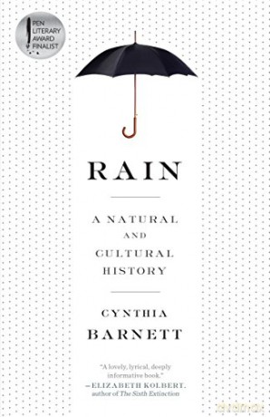 Rain: A Natural and Cultural History - Cynthia Barnett [KSIĄŻKA]