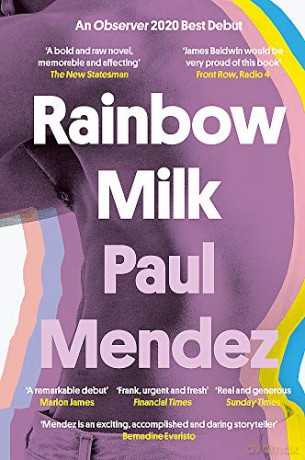 Rainbow Milk: an Observer 2020 Top 10 Debut - Paul Mendez [KSIĄŻKA]