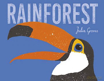 Rainforest (Child's Play Library) - Julia Groves [KSIĄŻKA]