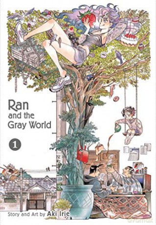 Ran and the Gray World Vol 1: Volume 1 - Aki Irie [KSIĄŻKA]