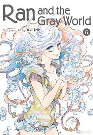Ran and the Gray World Vol 6: Volume 6 - Aki Irie [KSIĄŻKA]