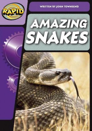 Rapid Phonics Step 3: Super Snakes (Non-fiction) - John Townsend [KSIĄŻKA]