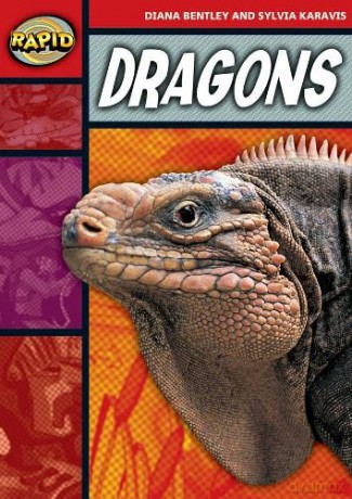 Rapid Reading: Dragons (Stage 2, Level 2B) - Sylvia Karavis [KSIĄŻKA]
