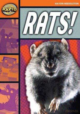Rapid Reading: Rats! (Stage 4, Level 4B) - Haydn Middleton [KSIĄŻKA]