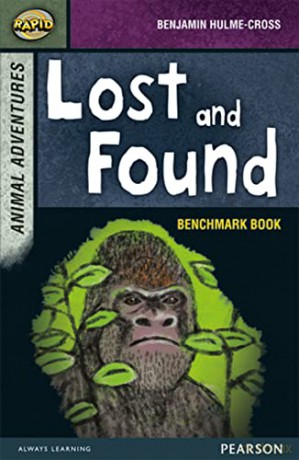 Rapid Stage 7 Assessment book: Lost and Found - Dee Reid [KSIĄŻKA]